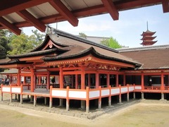 IMG_1643