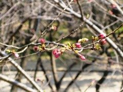 IMG_1404