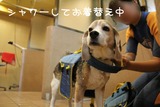 画像 1111121435