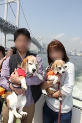 画像 1111127473