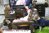 画像 1111117181のコピー