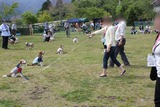 IMG_1529