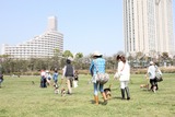 画像 1111127518