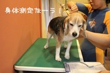 画像 1111121431