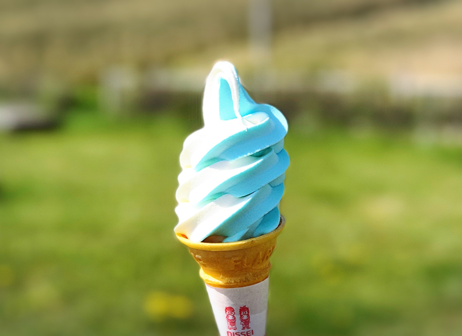 a54d42cf.jpg