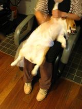 IMG_8957