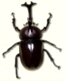 hira097092