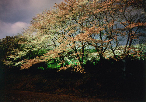 Yoza-oigaware-re