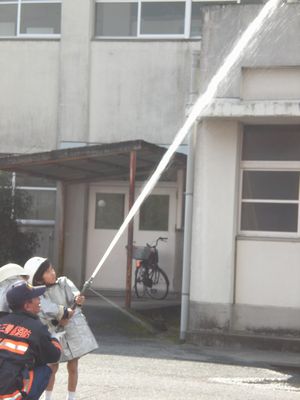 �����桰��