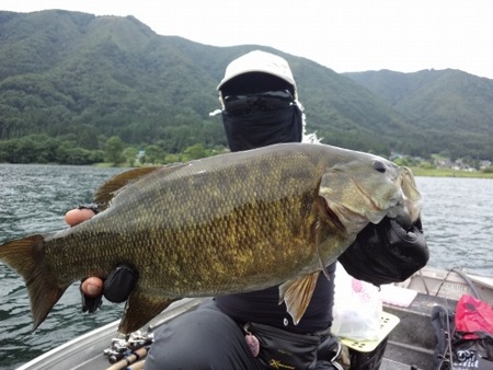 8-31seiki-s