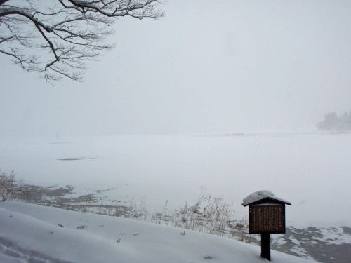 P2010250-s