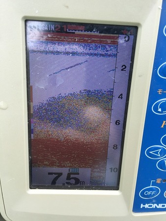 s-imagew