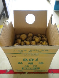 DSCN9265
