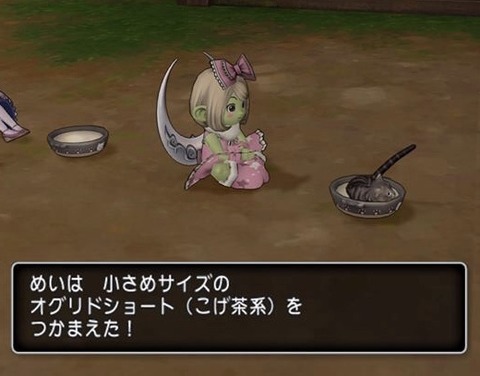 ネコ7