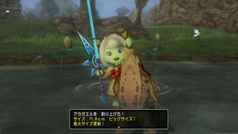 釣りアカガエル