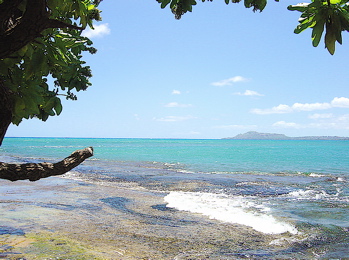 Portlock4