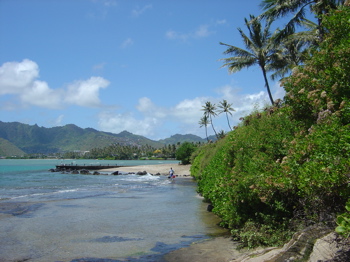 Portlock3
