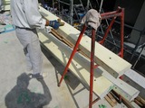 IMG_3189 (800x600)