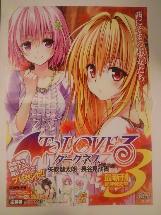 0019-ToLoveるダークネス3巻