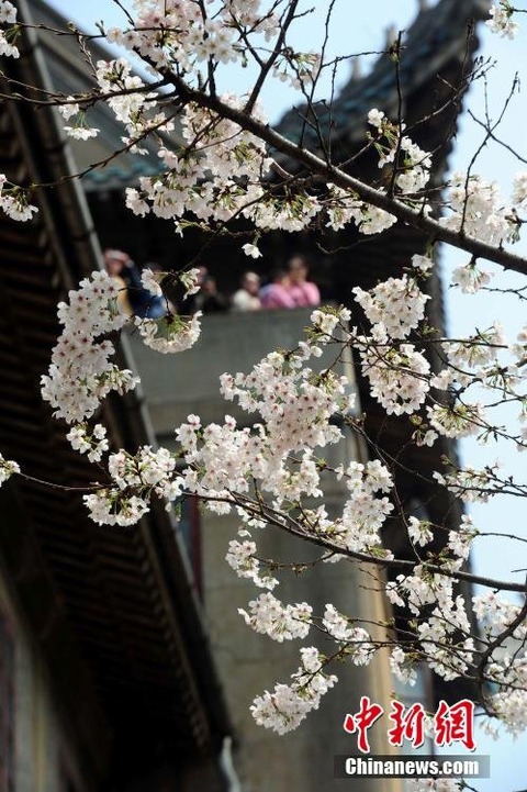 20150322_08