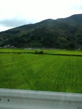 山と田んぼ!