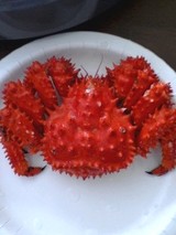 美味しい蟹!!!