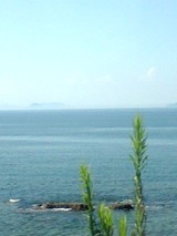 海!