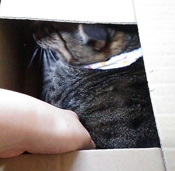 急に涼しくなったので0