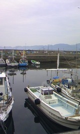 9148782a.jpg