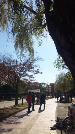 92f3cb36.jpg