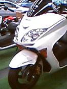 050610_1343001.jpg