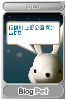 いったい何を?