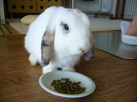 P1020996�ʺ�ī����