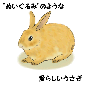 うさぎから１０のお願い うさぎ絵日記