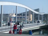 celtic1