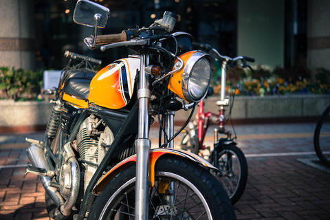 nikon_5841-5