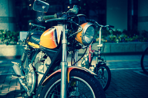 nikon_5841-3