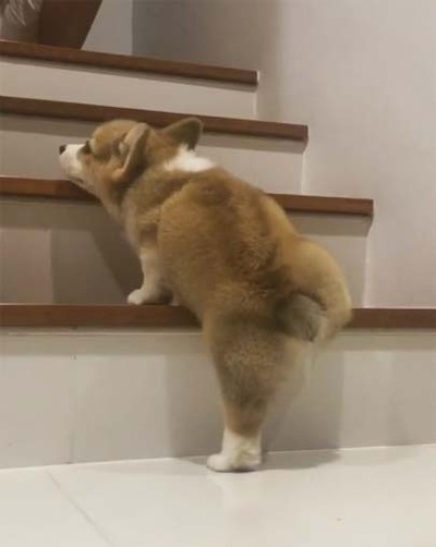 04