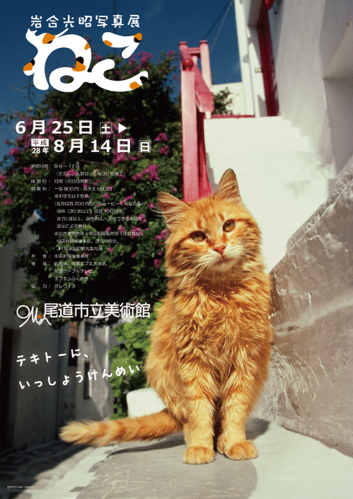 ねこ [無断転載禁止]©bbspink.com	YouTube動画>12本 ->画像>1513枚 
