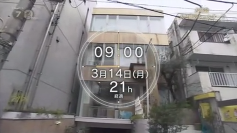 31