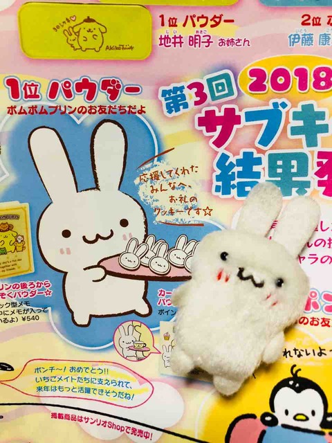 パウダーちゃん!サブキャラコンテスト1位おめでとう! : プリンくんと私