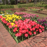 IMG_3744
