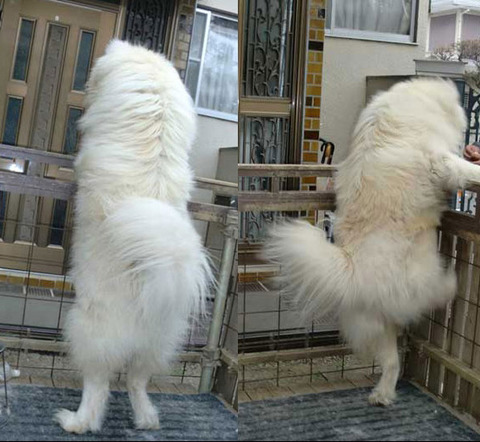 おやつ頂戴