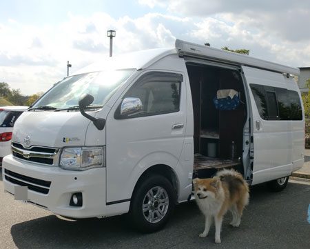 3a447e10.jpg