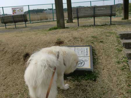 ここで滑ったんだよ