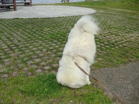 座ってるわけじゃないの