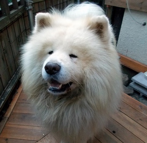 7歳誕生日-2