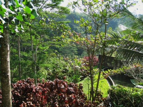 travel_bali_60