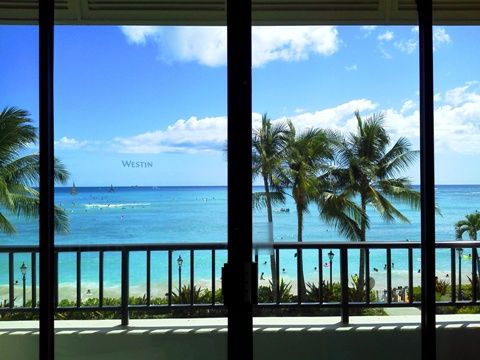 moana_surfrider_03
