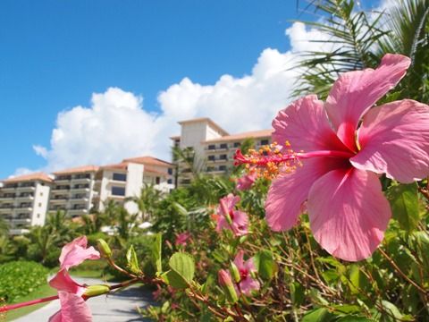 hotel_busena_d_03